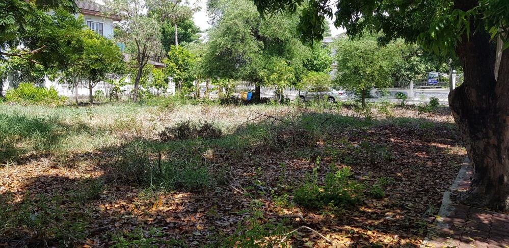 Land for sale, Chonlada Village, Bang Bua Thong, 103 sq.wa., suitable for building a residence. – รูปที่ 2