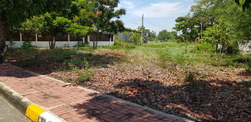 Land for sale, Chonlada Village, Bang Bua Thong, 103 sq.wa., suitable for building a residence. – รูปที่ 3