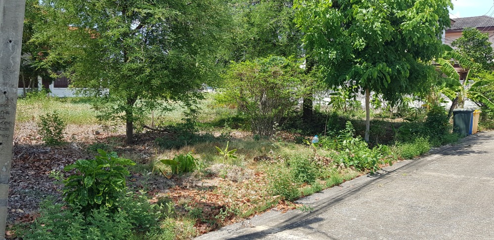 Land for sale, Chonlada Village, Bang Bua Thong, 103 sq.wa., suitable for building a residence. – รูปที่ 4