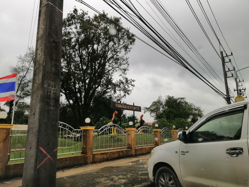 Land for sale, 3 rai 55.5 sq m, near King Naresuan Shrine. Mueang Prachinburi District 300 meters from Suwannason Road, suitable for gardening or housing. – รูปที่ 2