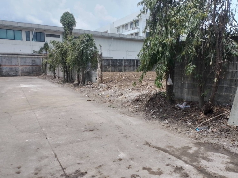 🔥ขายที่ดินด่วน🔥ที่ดิน 240 ตรว. ซ.วชิรธรรมสาธิต 36 เหมาะสำหรับปลูกสร้างที่พักอาศัยและทำโกดัง – รูปที่ 2