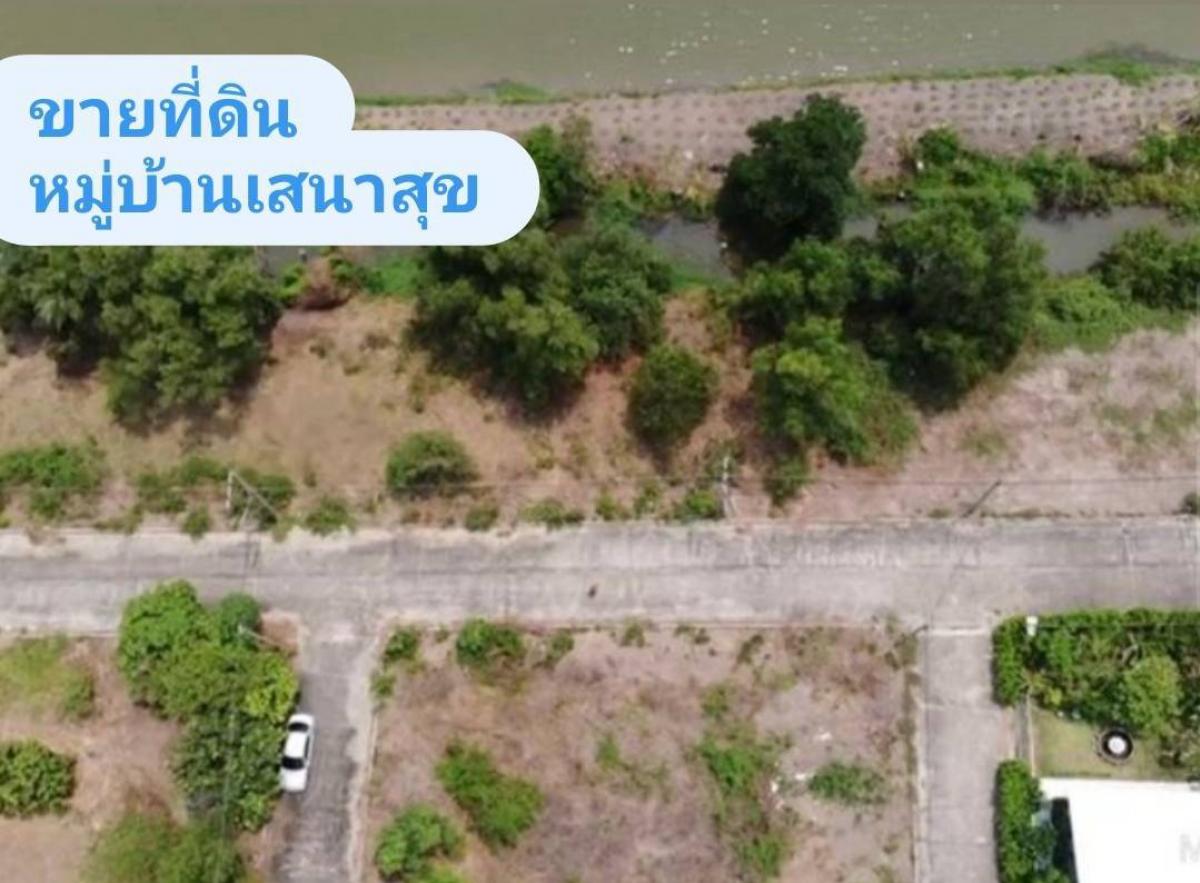 ขายด่วน✅ ที่ดินจัดสรร หมู่บ้านเสนาสุข เนื้อที่ 150 ตารางวา ถนนรังสิต-นครนายก คลอง 13 อำเภอหนองเสือ ปทุมธานี ขายด่วน✅ ที่ดินจัดสรร หมู่บ้านเสนาสุข เนื้อที่ 150 ตารางวา ถนนรังสิต-นครนายก คลอง 13 อำเภอหนองเสือ ปทุมธานี