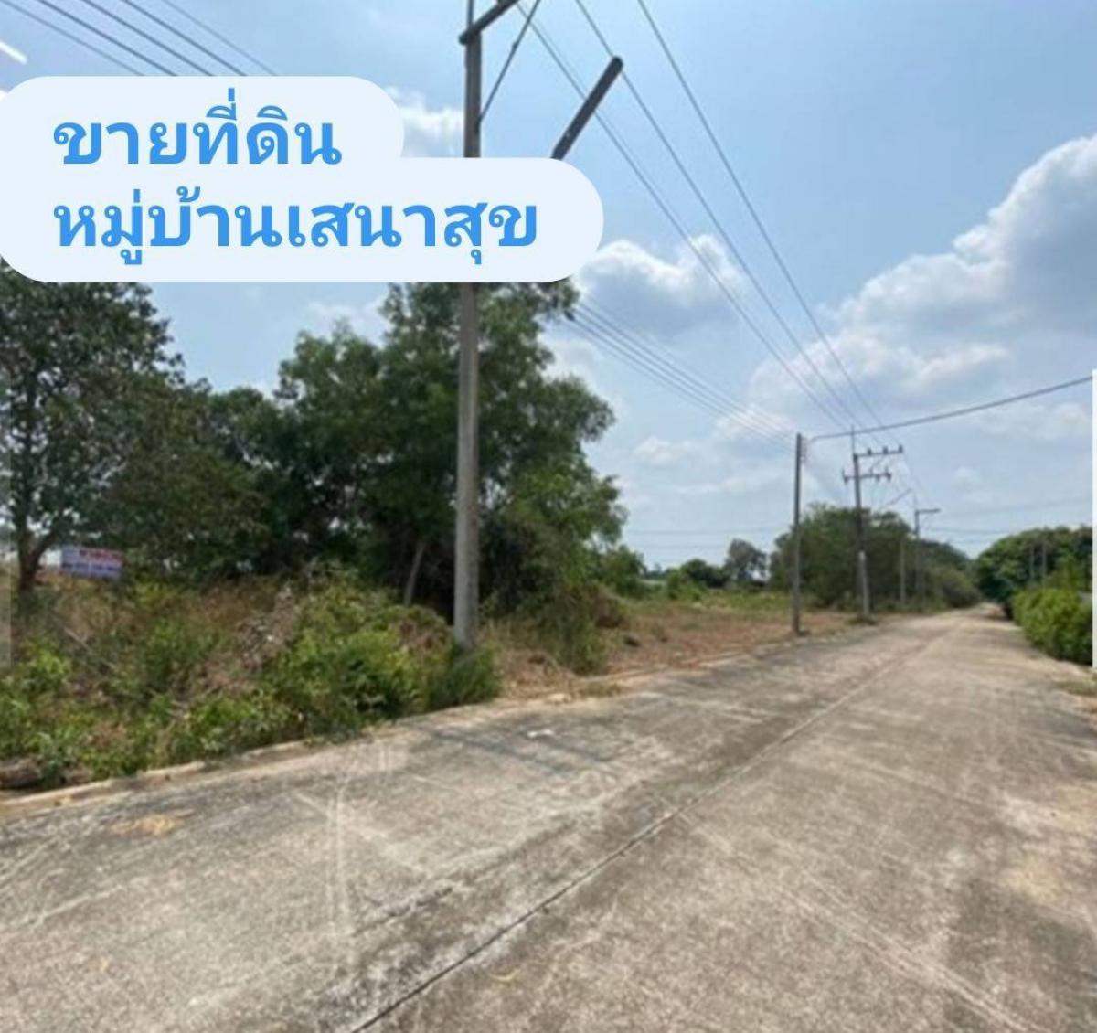 Urgent sale✅ selling, land plot, Sena Suk Village, area 150 square wah, Rangsit-Nakhon Nayok Road, Khlong 13, Nong Suea District, Pathum Thani – รูปที่ 2