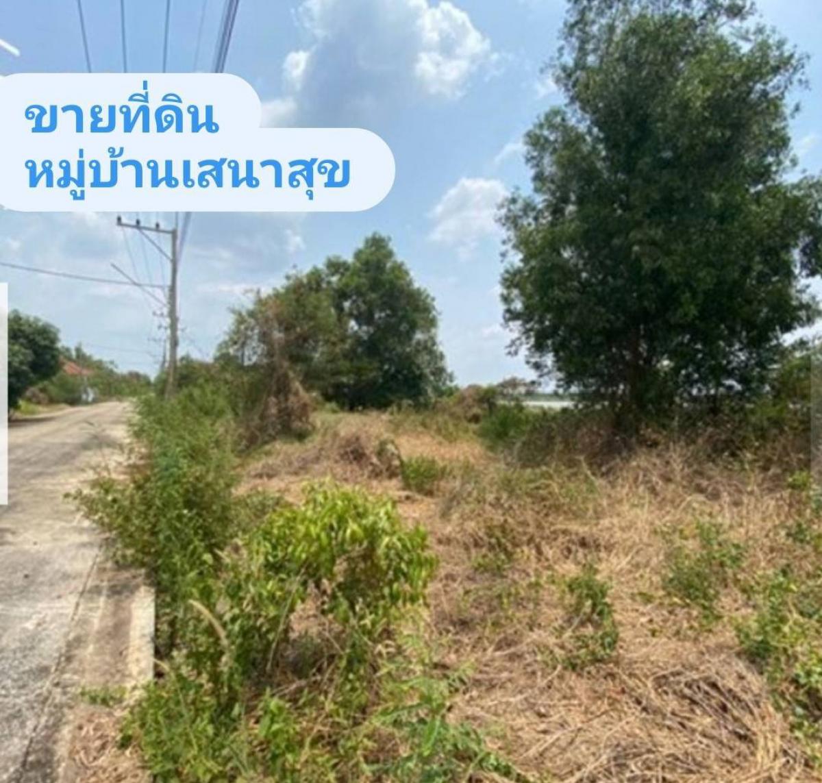 Urgent sale✅ selling, land plot, Sena Suk Village, area 150 square wah, Rangsit-Nakhon Nayok Road, Khlong 13, Nong Suea District, Pathum Thani – รูปที่ 4