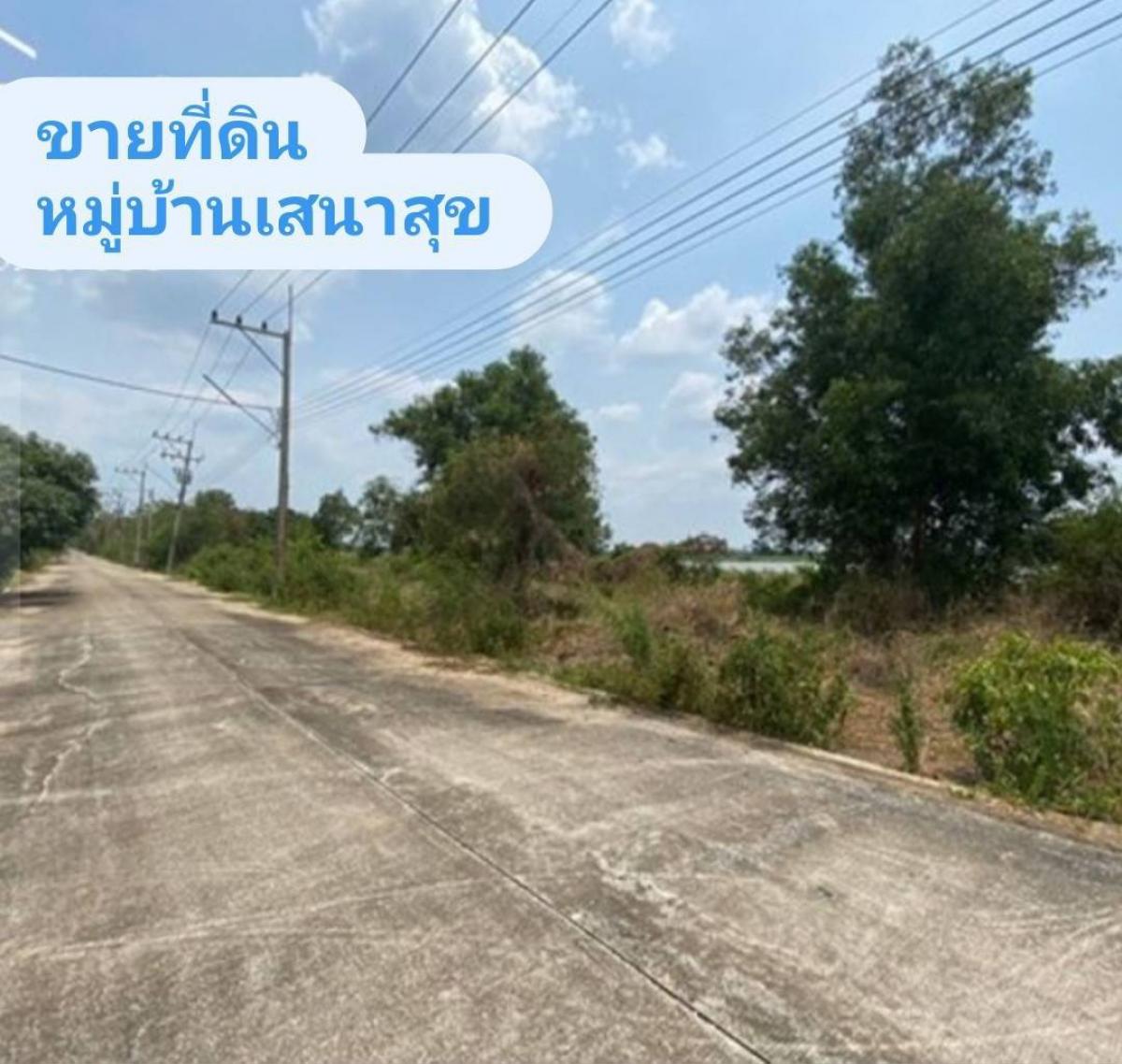 Urgent sale✅ selling, land plot, Sena Suk Village, area 150 square wah, Rangsit-Nakhon Nayok Road, Khlong 13, Nong Suea District, Pathum Thani – รูปที่ 3