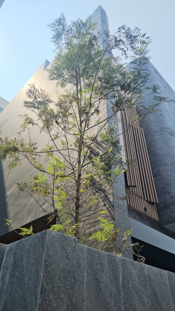 ♦ Type (B) ♦ บ้านเดี่ยว 3 ชั้น 4 ห้องนอน | 53.90 ตร.ว. 425.00 ตร.ม. | TERRA HAUS Vibha-Phahon 21 (เทอร์ร่า เฮาส์ วิภา-พหล 21)  | ใกล้ BTS พหลโยธิน 24 5 นาที, Central Plaza ลาดพร้าว 4 นาที – รูปที่ 2