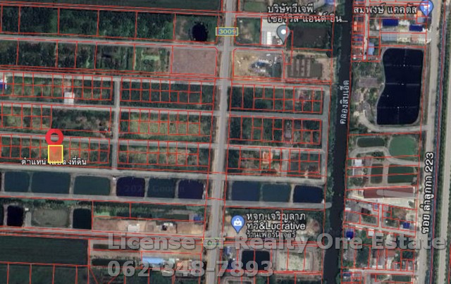 ขายที่ดิน แปลงจัดสรร สวัสดิการพนักงานไทยพาณิชย์ คลอง 11 ลำลูกกา จ.ปทุมธานี – รูปที่ 2
