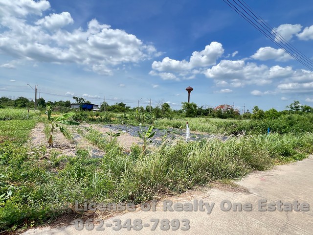ขายที่ดิน แปลงจัดสรร สวัสดิการพนักงานไทยพาณิชย์ คลอง 11 ลำลูกกา จ.ปทุมธานี – รูปที่ 3