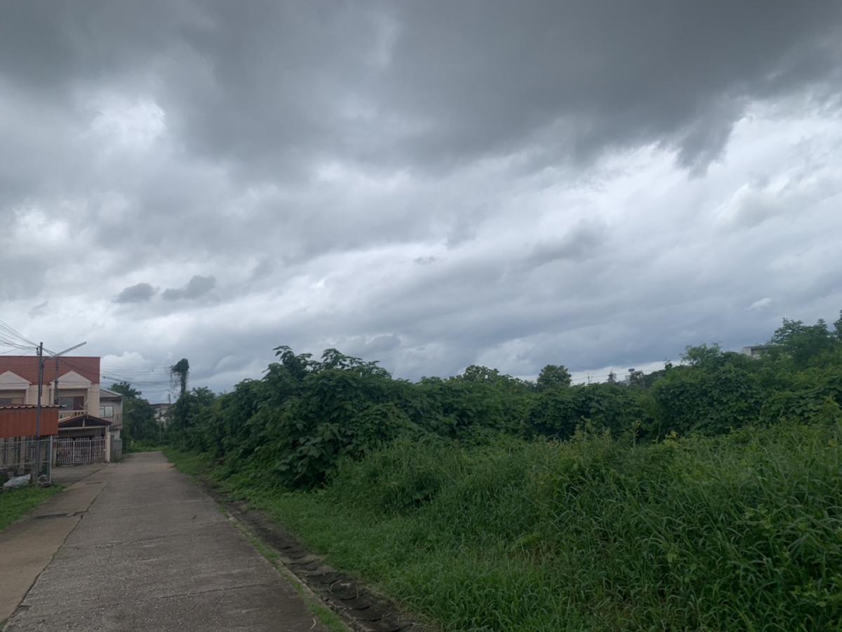Land for sale at Mueang Uttaradit3-3-64 rai=1564 sqw3-1-36 rai=1372 sqwTotal 2936 sqw7-1-36 raiWide 96 deep 110 mSuite for peoject hotel / showroom Land for sale at Mueang Uttaradit3-3-64 rai=1564 sqw3-1-36 rai=1372 sqwTotal 2936 sqw7-1-36 raiWide 96 deep 110 mSuite for peoject hotel / showroom
