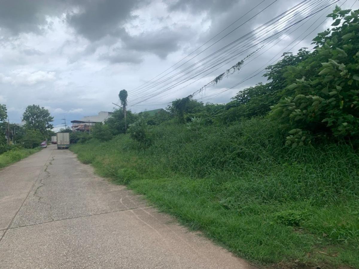 Land for sale at Charoen undid mueang Uttaradit 3-3-64 rai 1,564 sqw Land for sale at Charoen undid mueang Uttaradit 3-3-64 rai 1,564 sqw