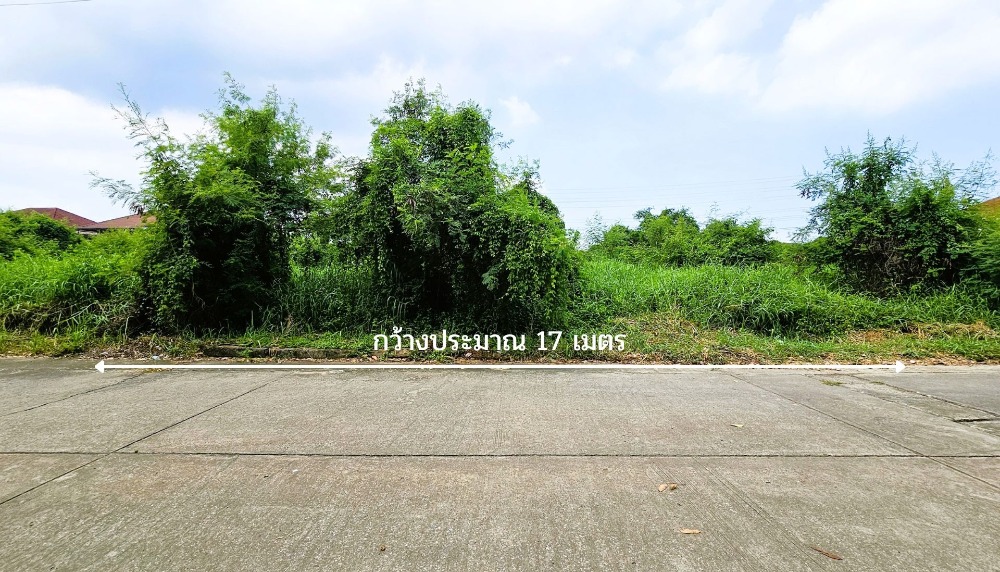ขายที่ดินฟลอร่า วิลล์ สุวินทวงศ์ 38 ขนาด 139.8 ตร.ว. ติดถนนคอนกรีต เหมาะสร้างที่พักอาศัย – รูปที่ 2