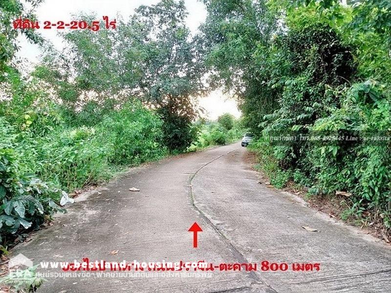 ขายที่ดิน 2 ไร่ 2 งาน 20.5 ไร่ ใกล้ถนนปราจีนตะคาม เพียง 100 เมตร ตำบลในเมือง จังหวัดปราจีนบุรี – รูปที่ 3