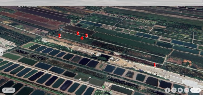 Sale 🌳 Land near Kitti Manufacturing (100-200 sq.wa). 5 plots available. Located in Bueng Thong Lang, Khlong 11, Lam Luk Ka. Price: 3,900-5,000 THB/sq.wa. (NN-91340) – รูปที่ 3