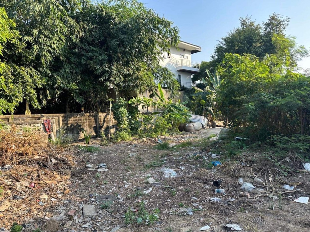 ขายที่ดินสวย หน้ากว้าง  พื้นที่รวม 297  ตรว.  ขายยกแปลง ที่ดินผืนริมแปลงมุม  ด้านซ้ายติดคลองบางเชือกหนัง – รูปที่ 3
