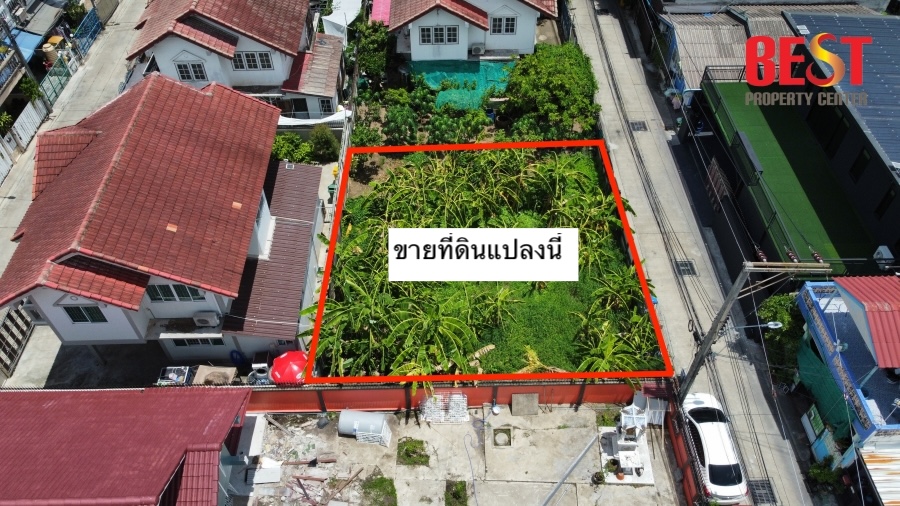 ขายที่ดิน ซอย วัดสวนแก้ว หรือ หมู่บ้าน เจ้าพระยา 5 ใกล้ รถไฟฟ้า สายสีม่วง บางใหญ่ สวย เหมาะสร้างบ้าน ขายที่ดิน ซอย วัดสวนแก้ว หรือ หมู่บ้าน เจ้าพระยา 5 ใกล้ รถไฟฟ้า สายสีม่วง บางใหญ่ สวย เหมาะสร้างบ้าน