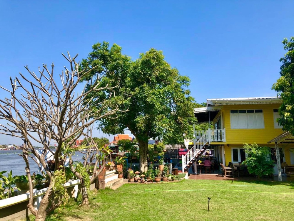 ● บ้านริมแม่น้ำเจ้าพระยา ● ตรงข้ามเกาะเกร็ด บ้านอยู่ฝั่งกรุงเทพฯ ห้าแยกปากเกร็ด-ถนนแจ้งวัฒนะ | 407.50 ตร.ว. 4 ห้องนอน | ด้านหน้าติดแม่น้ำเจ้าพระยายาว31 เมตร – รูปที่ 2