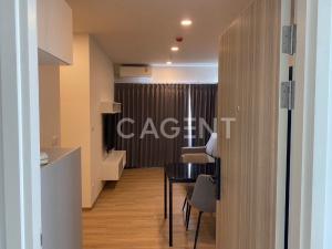 condo for RENT “Escent Hatyai“, near Central Festival Hatyai