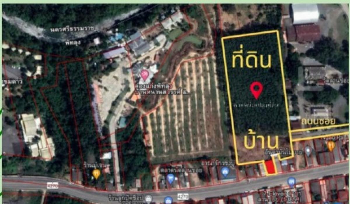 ขายด่วน บ้าน พร้อมที่ดินทำเลทอง ติดถนน 8-3-90.4 ไร่ ต.ควนขนุน อ.ป่าพะยอมจ.พัทลุง ขายด่วน บ้าน พร้อมที่ดินทำเลทอง ติดถนน 8-3-90.4 ไร่ ต.ควนขนุน อ.ป่าพะยอมจ.พัทลุง