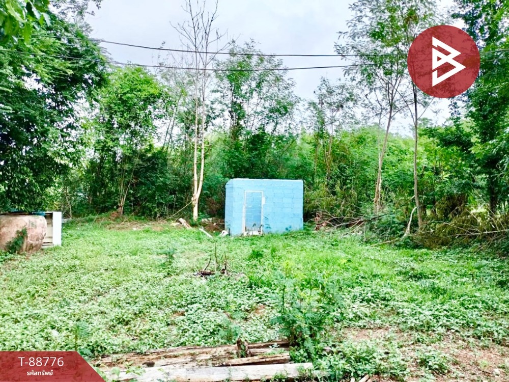 Empty land for sale, area 91 square meters, Na Ngua, Phetchabun. – รูปที่ 2