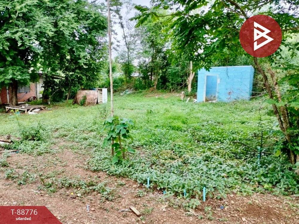 Empty land for sale, area 91 square meters, Na Ngua, Phetchabun. – รูปที่ 3