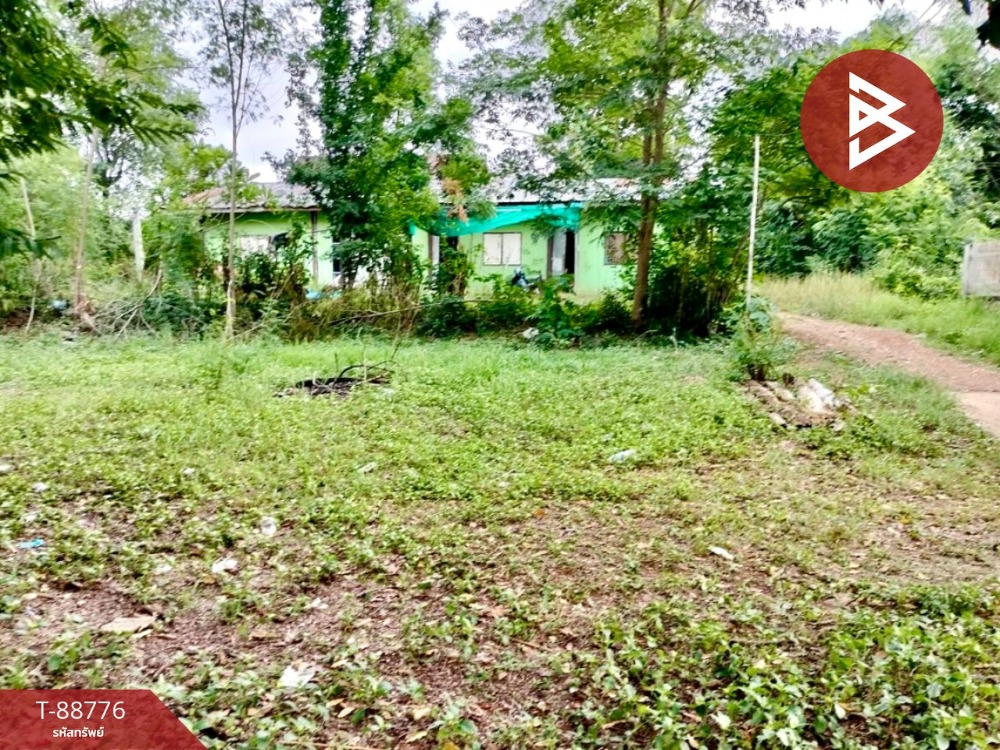 Empty land for sale, area 91 square meters, Na Ngua, Phetchabun. – รูปที่ 4