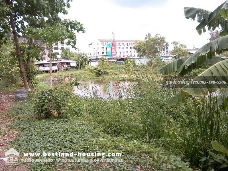 Land for sale, 949 square meters, width 36 meters, depth 80 meters, next to the main road, beautiful, filled in, good location. Near Pavitra School and Pathum Thani branch post office – รูปที่ 2