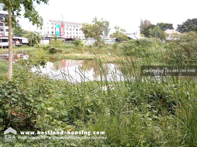 Land for sale, 949 square meters, width 36 meters, depth 80 meters, next to the main road, beautiful, filled in, good location. Near Pavitra School and Pathum Thani branch post office – รูปที่ 3