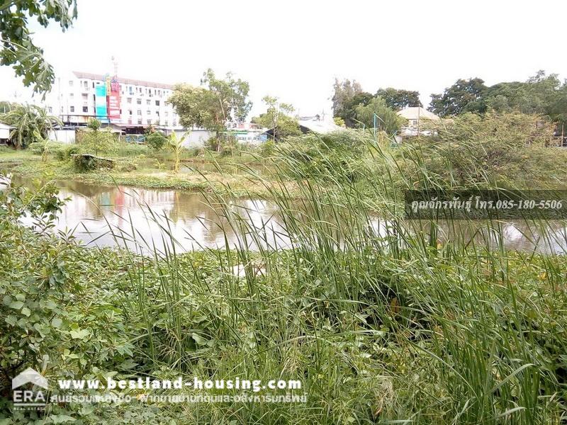 Land for sale, 949 square meters, width 36 meters, depth 80 meters, next to the main road, beautiful, filled in, good location. Near Pavitra School and Pathum Thani branch post office – รูปที่ 4