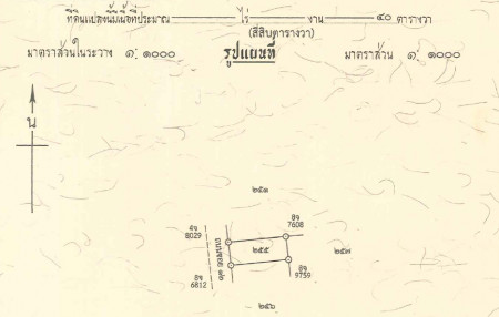 ขายที่ดินเปล่า 40 ตรว ห่างจากถนนใหญ่ 50 เมตร เหมาะปลูกบ้าน ลพบุรี พัฒนานิคม ช่องสาริกา ซอยสวนเย็นจิต – รูปที่ 3