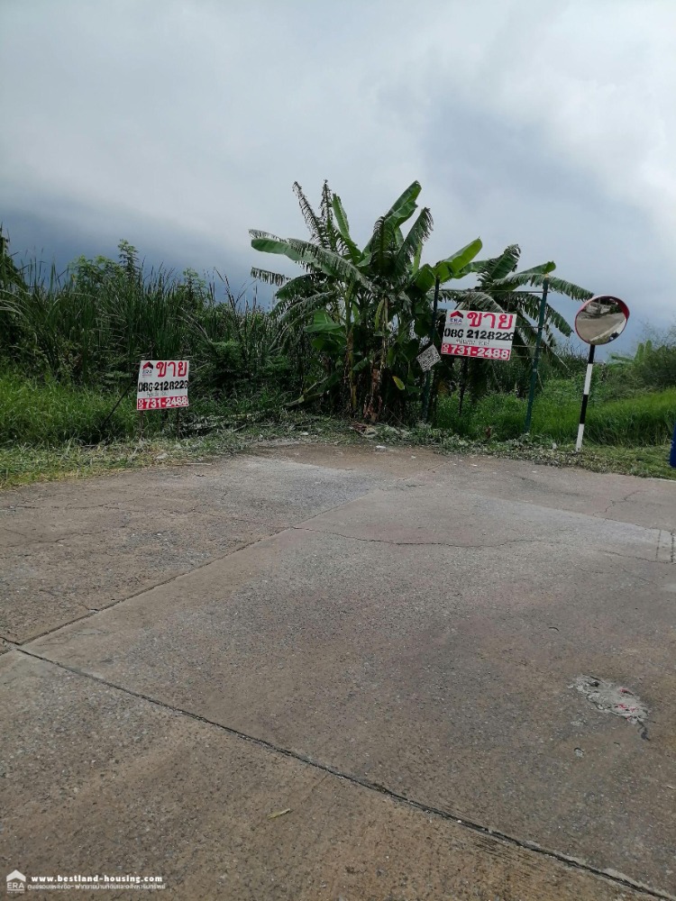 Empty land for sale, 455.8 sq m., Nimitmai Road. 300 meters from Nimitmai main road. Empty land for sale, 455.8 sq m., Nimitmai Road. 300 meters from Nimitmai main road.