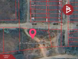 Empty land for sale urgently, area 2 ngan 49 square wah, Pak Tho, Ratchaburi.