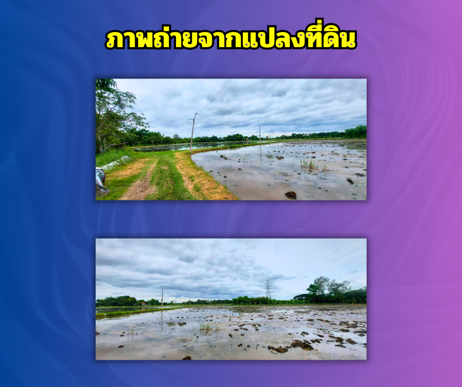 ขายที่ดินยก 2 แปลง ในเมืองนครราชสีมา 11-2-52 ไร่ โฉนดพร้อมโอน – รูปที่ 2