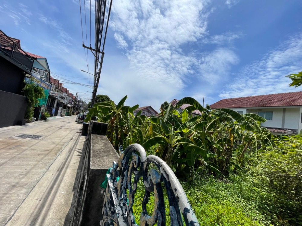 ขาย ที่ดิน ถมแล้ว ซอย วัดสวนแก้ว 56 ตรวา เข้าซอยไม่ลึก ใกล้รถไฟฟ้าสายสีม่วง สถานี บางพลู – รูปที่ 3