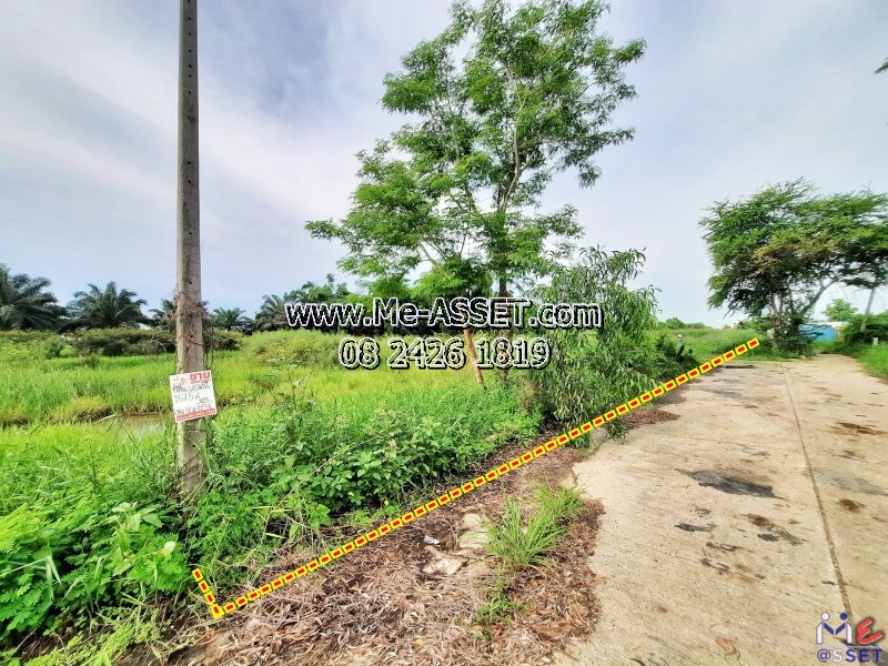 Sale: 🌳 Land near Wat Phirun Sat (157.5 sq.wa x 2). Located in Soi Makkanuka, Khlong Sip, Bueng Thong Lang &amp; Lam Luk Ka. 2 adjacent plots available. Prime Pathum Thani area. (NN-91341) – รูปที่ 2