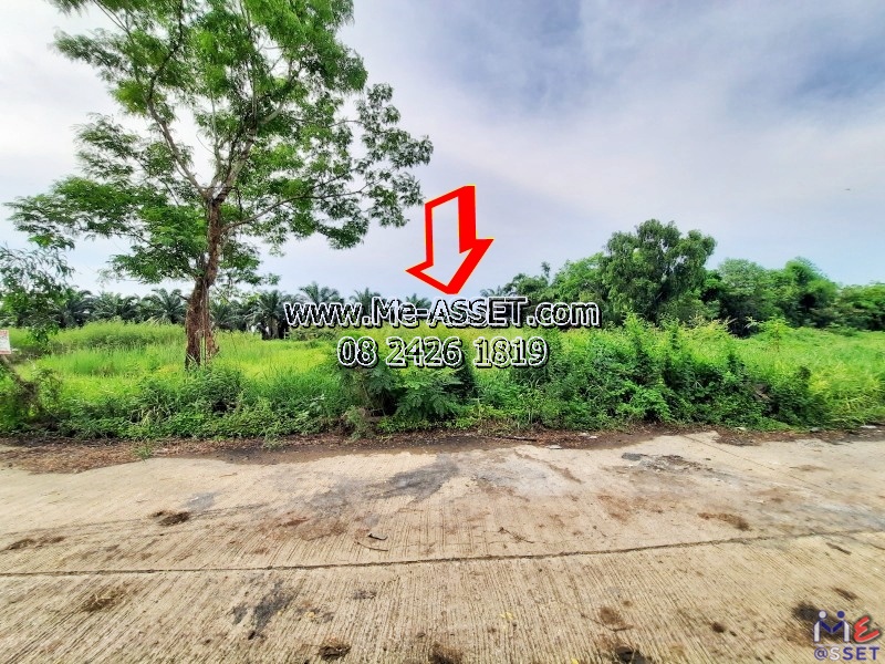 Sale: 🌳 Land near Wat Phirun Sat (157.5 sq.wa x 2). Located in Soi Makkanuka, Khlong Sip, Bueng Thong Lang &amp; Lam Luk Ka. 2 adjacent plots available. Prime Pathum Thani area. (NN-91341) – รูปที่ 3