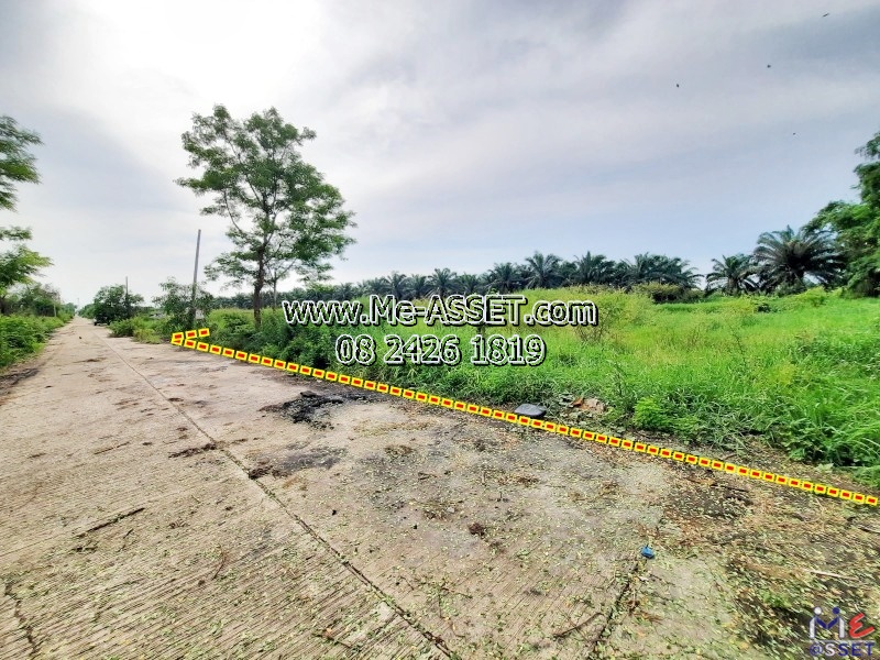Sale: 🌳 Land near Wat Phirun Sat (157.5 sq.wa x 2). Located in Soi Makkanuka, Khlong Sip, Bueng Thong Lang &amp; Lam Luk Ka. 2 adjacent plots available. Prime Pathum Thani area. (NN-91341) – รูปที่ 4