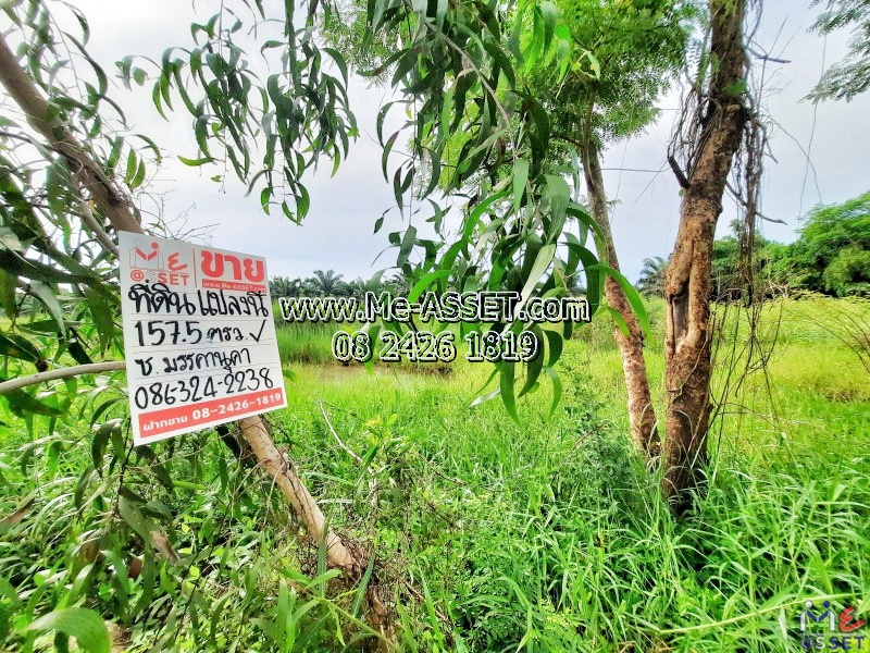 ขายที่ดินเปล่า ย่าน ซอยมรรคานุคา คลองสิบ บึงทองหลาง ลำลูกกา ปทุมธานี 🌳ใกล้วัดพิรุณศาสตร์ : มี 2 แปลงติดกันแปลงละ 157.5 ตร.วา (NN-91341) ขายที่ดินเปล่า ย่าน ซอยมรรคานุคา คลองสิบ บึงทองหลาง ลำลูกกา ปทุมธานี 🌳ใกล้วัดพิรุณศาสตร์ : มี 2 แปลงติดกันแปลงละ 157.5 ตร.วา (NN-91341)