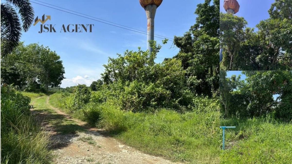 Land for sale in Soi Yoi Dao, area 35-3-38 rai. – รูปที่ 4