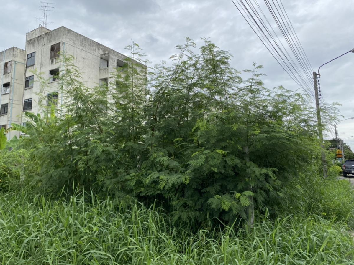 Land for sale, 100 sq.w., Sukhaphiban 5 location, Soi 64, Or Ngoen
