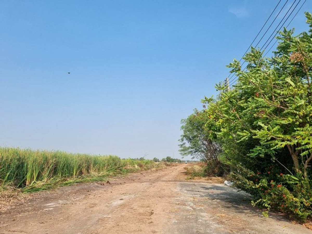 Land for sale in Chachoengsao, EEC area, purple map, white dots, selling 5 rai to 30 rai, suitable for factory, beautiful plot, wide frontage, on public road, road width 8-10 meters, large vehicles can enter easily. – รูปที่ 2