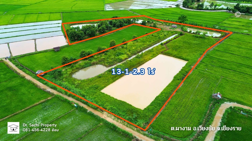 ขายที่ดินพร้อมบ่อปลา 13-1-2.3 ไร่ วิวดอยผาช้าง อ.เวียงชัย จ.เชียงราย ขายที่ดินพร้อมบ่อปลา 13-1-2.3 ไร่ วิวดอยผาช้าง อ.เวียงชัย จ.เชียงราย