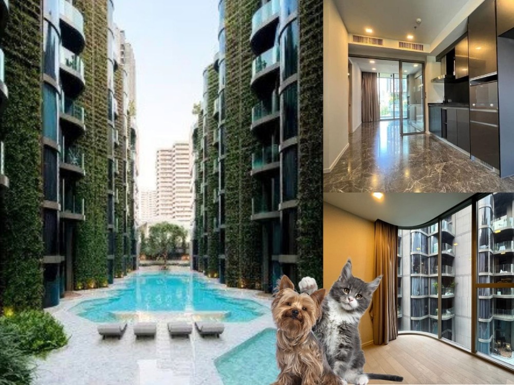 ASHTON RESIDENCE 😺Luxury condo, pet friendly, 2 bedrooms, spacious layout like being at home. ASHTON RESIDENCE 😺Luxury condo, pet friendly, 2 bedrooms, spacious layout like being at home.