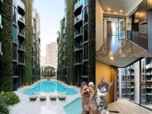 ASHTON RESIDENCE 😺Luxury condo, pet friendly, 2 bedrooms, spacious layout like being at home.