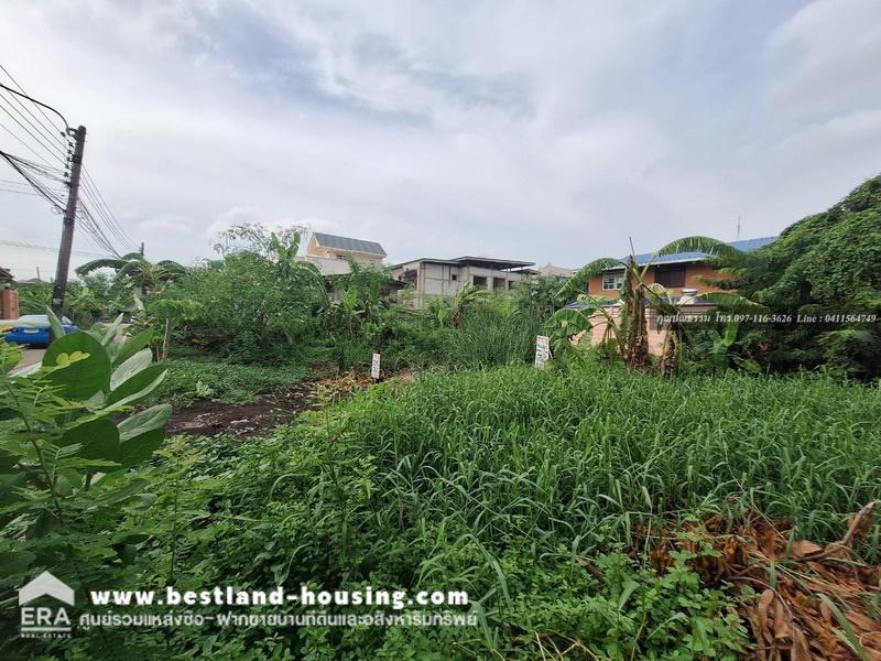 Urgent sale of land on Lam Luk Ka Road 3 (in Soi Chamon 20K), area 53 sq m., near the dark green BTS line, extension to Khu Khot Station (in the future). – รูปที่ 4