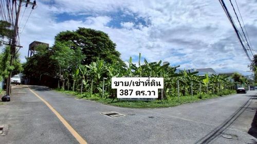 [ขายและให้เช่า] ที่ดิน ในซอยปรีดี 14