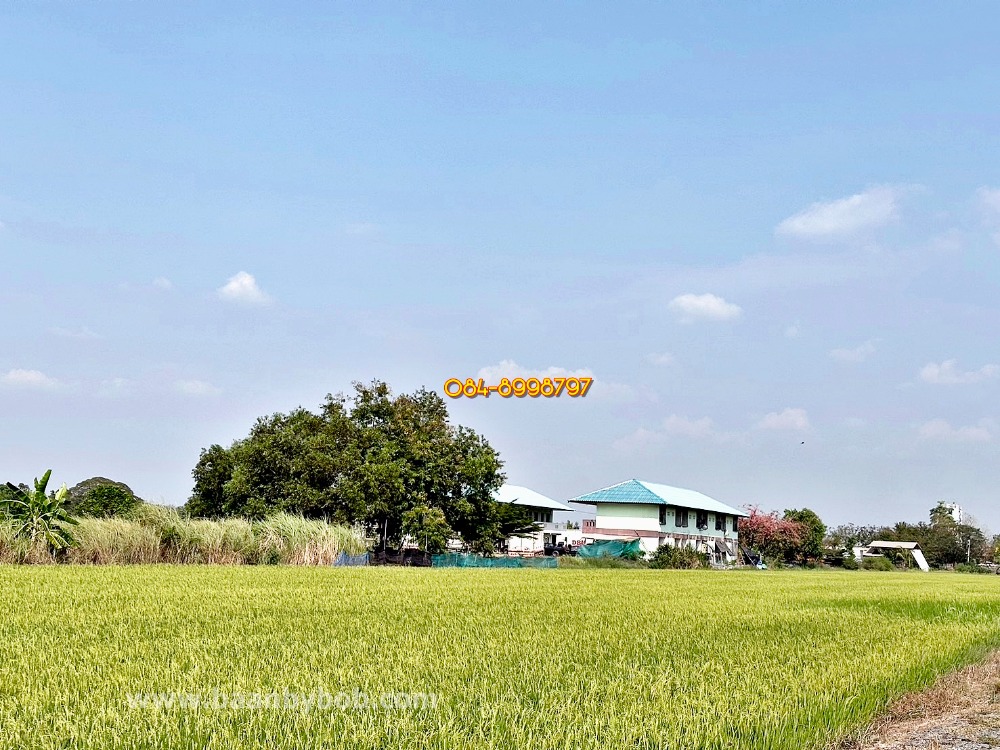 ขายที่ดินพร้อมสิ่งปลูกสร้างหอพัก ต.คลองหก อ.คลองหลวง จ.ปทุมธานี เนื้อที่ 10 ไร่ ขายถูกยกแปลง 12.5 ล้านบาท เท่านั้น – รูปที่ 3