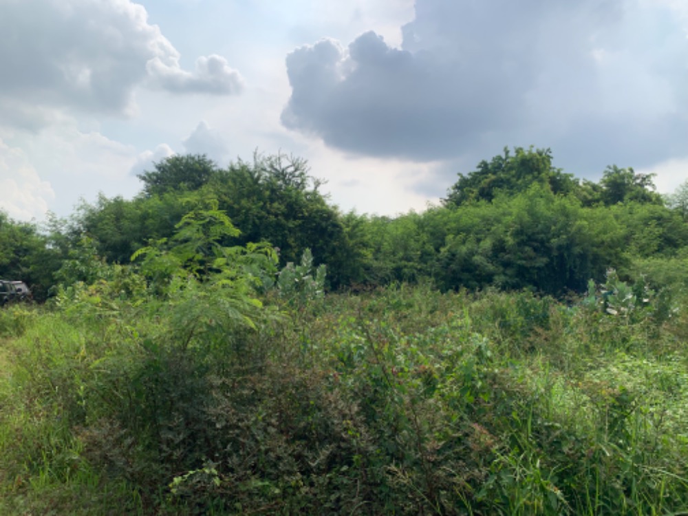 Land near Bang Phun Expressway – รูปที่ 4