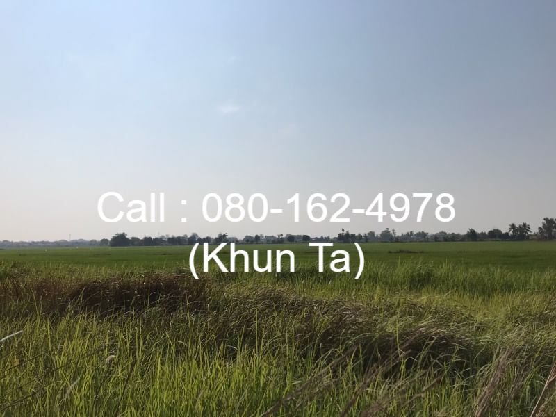 ขายที่โฉนด 50 ตร.ว. ถนนคู้คลองสิบ หนองจอก-มีนบุรี จ.กรุงเทพฯ ใกล้ทางด่วนฉลองรัช-นครนายก-สระบุรี ขายที่โฉนด 50 ตร.ว. ถนนคู้คลองสิบ หนองจอก-มีนบุรี จ.กรุงเทพฯ ใกล้ทางด่วนฉลองรัช-นครนายก-สระบุรี