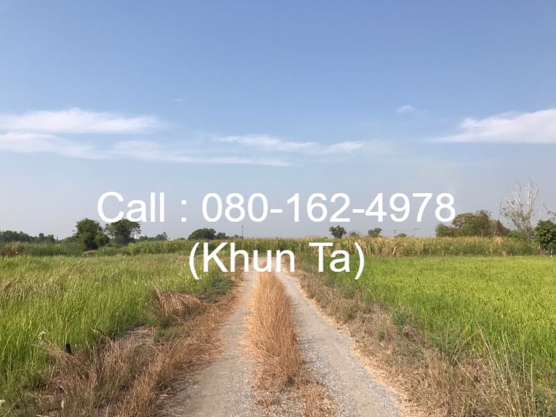 ขายที่โฉนด 50 ตร.ว. ถนนคู้คลองสิบ หนองจอก-มีนบุรี จ.กรุงเทพฯ ใกล้ทางด่วนฉลองรัช-นครนายก-สระบุรี – รูปที่ 2