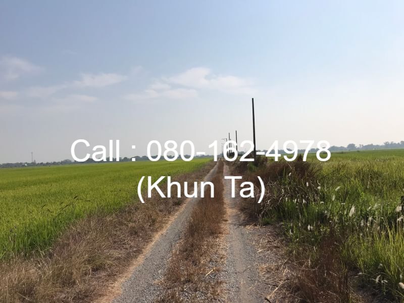 ขายที่โฉนด 50 ตร.ว. ถนนคู้คลองสิบ หนองจอก-มีนบุรี จ.กรุงเทพฯ ใกล้ทางด่วนฉลองรัช-นครนายก-สระบุรี – รูปที่ 3